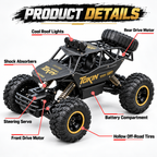 RC Buggy 4x4