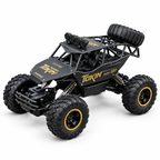RC Buggy 4x4