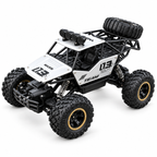 RC Buggy 4x4