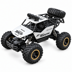 RC Buggy 4x4